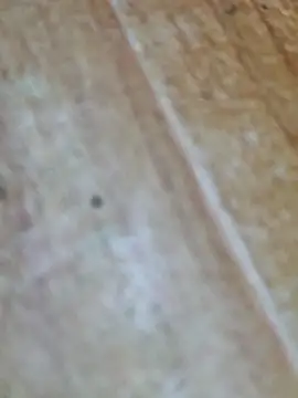 Markroco696 online show from October 9, 2025, 4:10 am