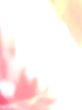 Dikchahot online show from December 17, 2025, 5:24 am