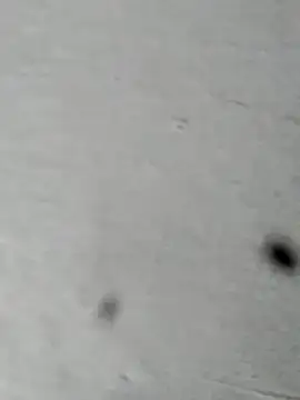 Snapshot of Mollysdick chatting on April 16, 2026, 2:18 pm Mollysdick online show from April 16, 2026, 2:18 pm