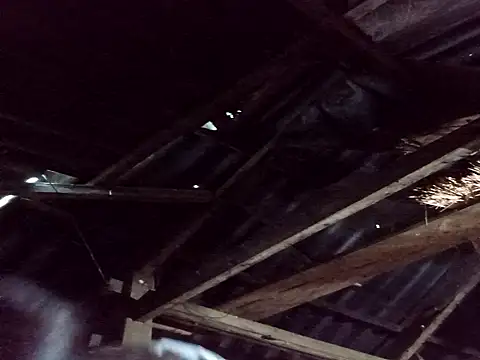  Helala  online show from October 25, 2025, 11:21 pm