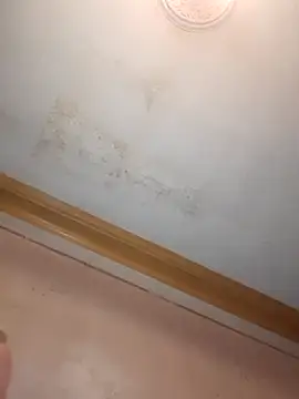 Snapshot of Klubnyhka3991 chatting on December 16, 2025, 9:31 pm Klubnyhka3991 online show from December 16, 2025, 9:31 pm