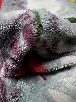 BzzDihh online show from November 23, 2025, 6:19 pm