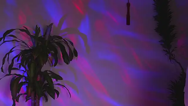 bri von dhara   online show from March 7, 2026, 12:18 am