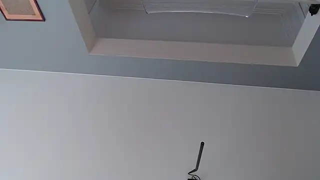 Snapshot of knodli chatting on October 21, 2025, 11:55 am knodli online show from October 21, 2025, 11:55 am