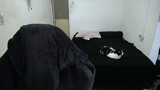 Snapshot of Amber09raiden chatting on October 31, 2025, 5:03 pm Amber09raiden online show from October 31, 2025, 5:03 pm