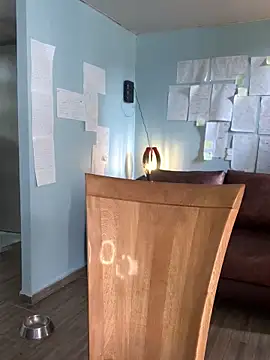 Canneela online show from November 23, 2025, 6:08 pm