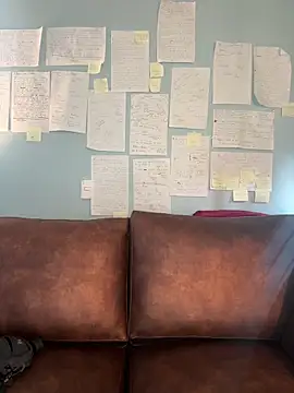 Canneela online show from March 20, 2026, 9:08 pm