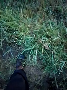 Snapshot of Sonia66w chatting on September 14, 2025, 12:21 am Sonia66w online show from September 14, 2025, 12:21 am