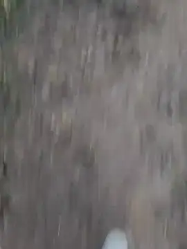 Snapshot of Sonia66w chatting on October 1, 2025, 12:49 am Sonia66w online show from October 1, 2025, 12:49 am