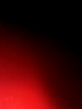 BlackCobraOwner online show from October 15, 2025, 11:21 am