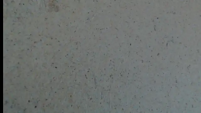 crazy daniela online show from October 23, 2025, 8:18 pm