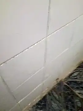 Snapshot of kelvinjesus34 chatting on October 19, 2025, 6:36 am kelvinjesus34 online show from October 19, 2025, 6:36 am