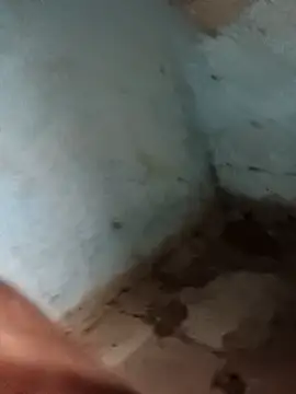 Sheema tyagi online show from November 11, 2025, 7:47 pm