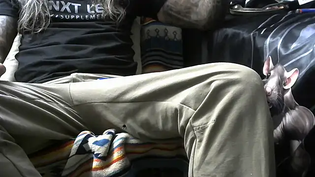 crassanova online show from April 18, 2026, 12:42 pm