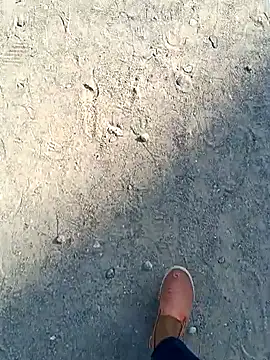 beerant online show from November 16, 2025, 5:35 am