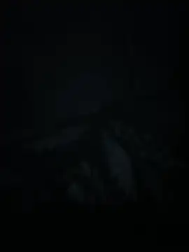 xxminou online show from July 2, 2026, 2:44 am