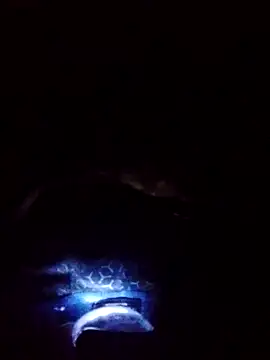 gostoso delas 2 online show from September 17, 2025, 4:19 pm