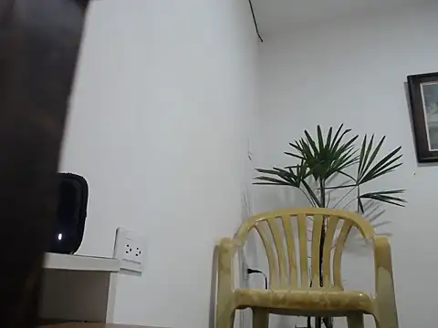 Snapshot of Young_handsome chatting on September 11, 2025, 3:56 pm Young handsome online show from September 11, 2025, 3:56 pm