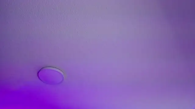  Charlotte Collins  online show from February 21, 2026, 3:13 pm