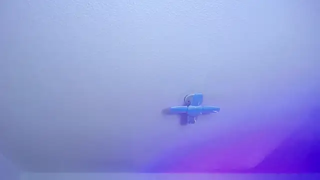  Charlotte Collins  online show from March 6, 2026, 2:35 pm