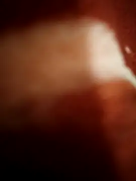 sexy  girls98 online show from November 8, 2025, 11:47 pm