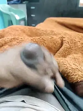 Yourminal online show from October 5, 2025, 2:26 pm