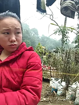 liu-liusexy online show from January 15, 2026, 2:05 am