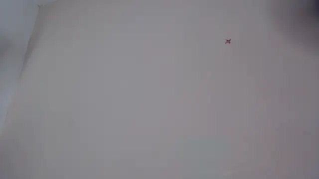 akisha lims26 online show from October 4, 2025, 1:09 pm