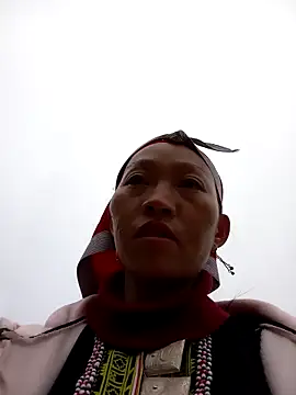 tcm-cute online show from November 4, 2025, 9:41 am