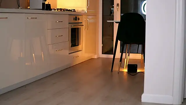 Snapshot of ElaraShine chatting on February 24, 2026, 8:29 pm ElaraShine online show from February 24, 2026, 8:29 pm