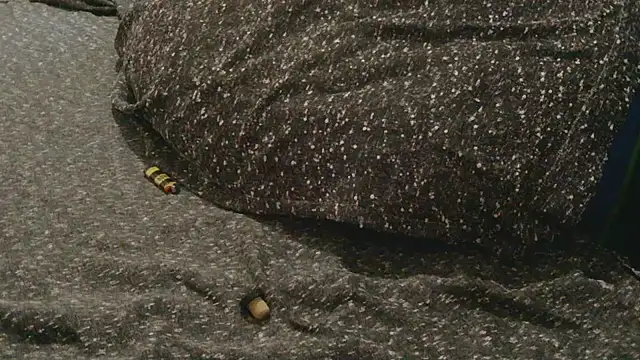 Gmajor online show from April 11, 2026, 10:25 pm