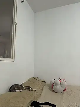 aliciia 23 online show from November 28, 2025, 8:11 pm