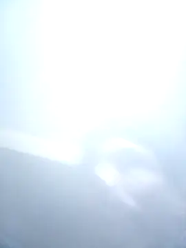 Bebicho14 online show from February 7, 2026, 1:31 am