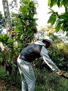 Snapshot of AlphaAlterX chatting on February 28, 2026, 1:23 pm AlphaAlterX online show from February 28, 2026, 1:23 pm