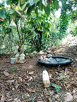 Snapshot of AlphaAlterX chatting on March 2, 2026, 3:52 pm AlphaAlterX online show from March 2, 2026, 3:52 pm