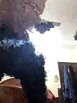 FlungBergenia online show from December 21, 2025, 6:04 pm