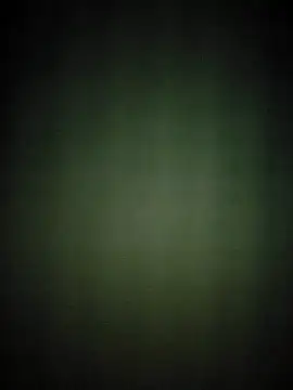 hilaouslee online show from October 31, 2025, 11:11 am