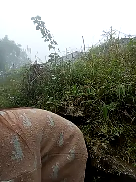 may-squirl online show from October 24, 2025, 1:35 am