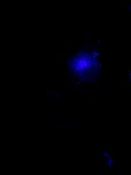 johnboones10 online show from October 22, 2025, 9:42 am