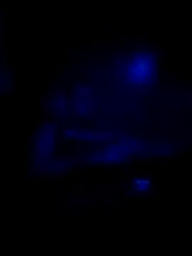 johnboones10 online show from November 16, 2025, 8:31 am