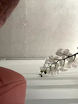 Adele Pinkk online show from November 3, 2025, 11:33 am