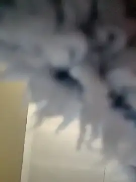 Cianda24 online show from December 14, 2025, 9:25 am