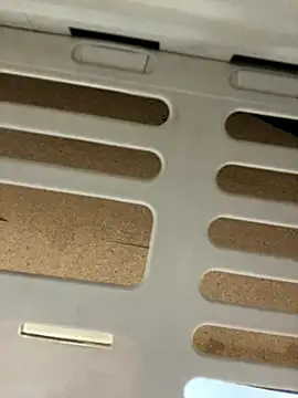 fitsexyman online show from November 17, 2025, 12:33 pm