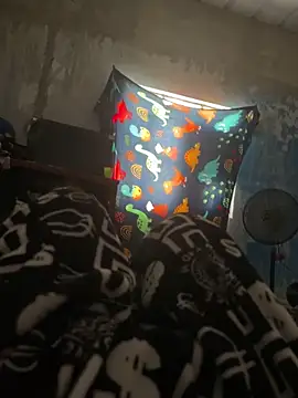 FromVnz online show from November 15, 2025, 12:45 pm