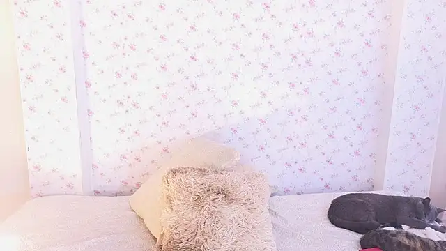 dahiana marin online show from February 2, 2026, 7:45 pm