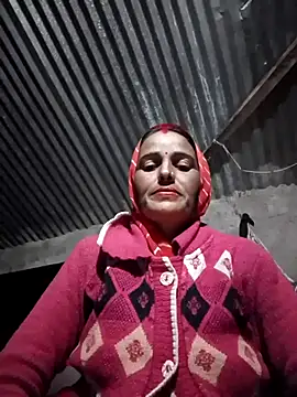 Jalebi bay online show from November 20, 2025, 1:11 pm