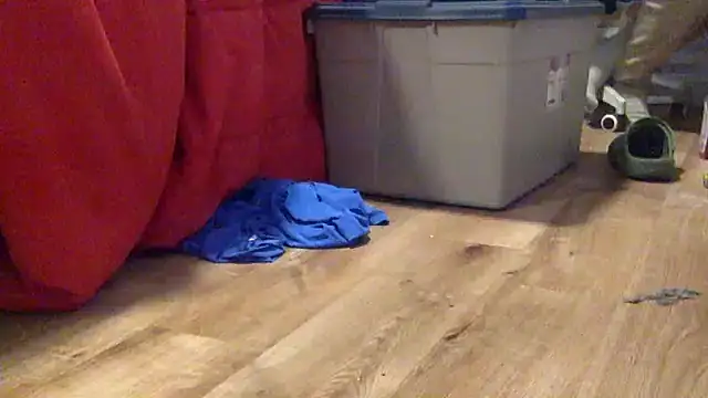 edger4lif3 online show from September 19, 2025, 4:40 pm