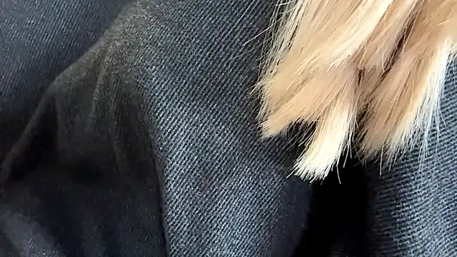 Sweet horizon online show from September 19, 2025, 5:42 am