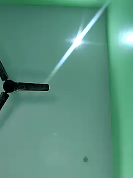 Snapshot of WildPayal chatting on November 14, 2025, 7:51 am WildPayal online show from November 14, 2025, 7:51 am