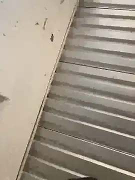 Snapshot of Chico031289 chatting on February 28, 2026, 8:21 pm Chico031289 online show from February 28, 2026, 8:21 pm